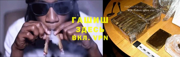 дмт Богданович